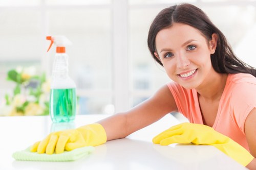 Professional end of tenancy cleaning for a Knightsbridge apartment kitchen