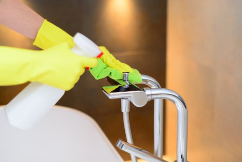 Professional using safe cleaning methods on carpets