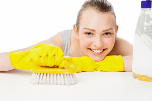 Deep cleaning upholstery in a central London property