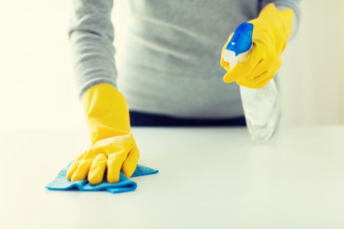 Carpet cleaning quote discussion in a Knightsbridge apartment