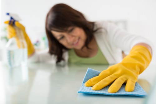Inclusive access statement for Carpet Cleaners Knightsbridge website content