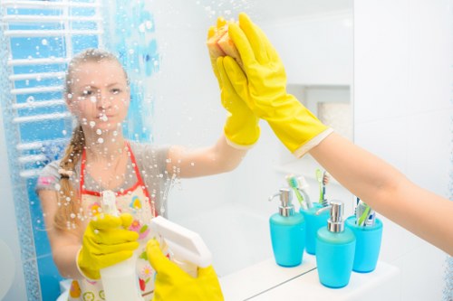 Regular home cleaning support for a Knightsbridge resident