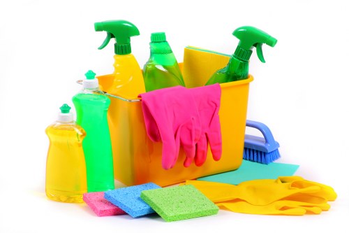 Professional cleaner maintaining a Knightsbridge residential property